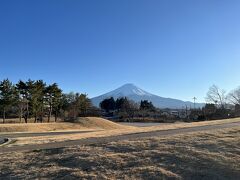 公園から見た富士山。
