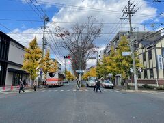 カフェを出てひたすら真っすぐ曼殊院通りを歩きます。
白川通りに出てくると銀杏並木が目にとまりました。