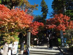 まずは円覚寺へ。総門前の階段から見事な紅葉です。