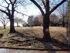 西郷山公園　明治の元勲西郷従道（西郷隆盛の弟）の別だったところであり、1981年区立公園として開園しました。割と広い公園ですが、特徴のない公園でした