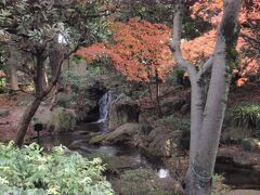 和館にある滝を備えた池泉回遊式庭園です。紅葉と相まってうっとりする光景です