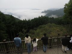 曇天だが雲海が広がり、右上に小さく備中松山城が見える。