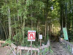 竹林公園は高い竹が生えているんですね。
竹だけの林です。
故郷にも竹林はいっぱいあり珍しくないので下から上に抜けて、
東久留米駅に急ぎ行きました。