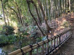 落合川の老松橋の手前を右に曲がって竹林公園に着きました。
そうか竹ばやしなんだ。