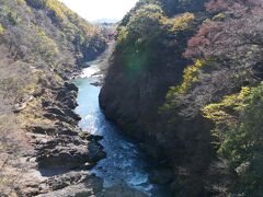 高津戸峡の紅葉はやや早めなのかいまいち。
