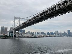 ＜父島→東京竹芝桟橋＞週１便おがさわら丸で、24時間かけて竹芝桟橋に戻ってきました。レインボーブリッジをくぐります。クイーンエリザベスⅡが通過できるよう橋げたは52ｍ確保しましたが、最近の世界有数のクルーズ船は高さが60～70ｍあり、くぐることができません。