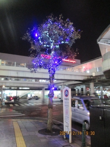柏市の柏駅 東口 西口 イルミネーション 柏 流山 千葉県 の旅行記 ブログ By 中国の風景さん フォートラベル