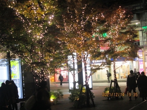 柏市の柏駅 東口 西口 イルミネーション 柏 流山 千葉県 の旅行記 ブログ By 中国の風景さん フォートラベル