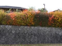 美しい石垣の上は残り秋色。がんこの鴨川側。