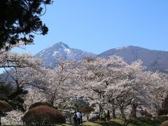 亀ケ城公園の桜と磐梯山