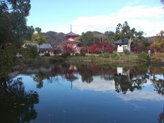 大覚寺の放生池と多宝塔。