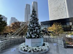 東京・西新宿のクリスマスツリーの写真。

昨年も載せました。今年はホワイト。

奥に東京都庁が見えています。