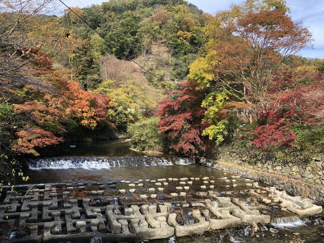 Go to 京都 28 瑠璃光院 ケーブル八瀬 比叡山頂』八瀬・大原