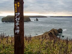 ぴろろんさんの情報から
ここにもラッコがいると
聞いてきたんだけど