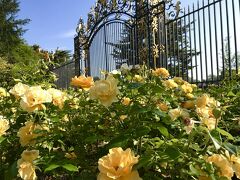 Ｑueen Mary's Gardensから公園内へ。バラが本当に見事な庭園です