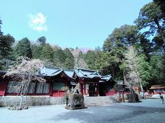 帰る前に箱根神社に参拝。