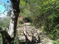 チェックアウトして
芦ノ湖畔を歩きます。

神社通りは交通量もあるので
この道を歩いた方が安全ですね。