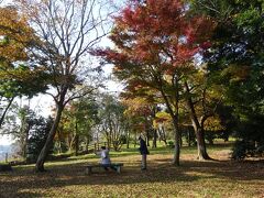 臼井城址公園の紅葉。
カエデだけでなくイチョウやケヤキなども色づいている。