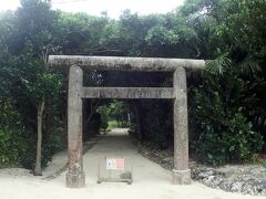 
そして丘を下っていくと右手に出てくる鳥居が

幸本御嶽(コントゥオン)　　「六山」
　
竹富島の始祖である６人の王のうちの１人、「幸本節瓦」を祀っています。幸本節瓦は、久米島から渡来したとされ、幸本村の祖として祀られています。大豆・小豆の耕作に努めたので「豆の神」とされています。御嶽周辺には、タブノキ・フクギ・ガジュマルなどの大樹が生い茂り、オオハギやクワズイモが繁茂し、自然の森の姿がよく残されています。また、幸本御嶽の敷地にあるクスクバーという小高い聖地は、ニライカナイからの神が休息すると言われています。［仲筋集落］