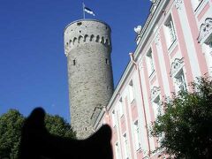 観光は旧市街の山の手エリアからスタート。
後ろの高い塔は愛称・のっぽのヘルマン。
はためく国旗は濃い青と黒と白、という暗い感じの配色。赤が入っている場合、その赤は「血」を表していたりするわけで、そういう血なまぐさいコトがない国旗なんです。と現地ガイドさんは誇らしげに説明してくれたのでした。なるほど。