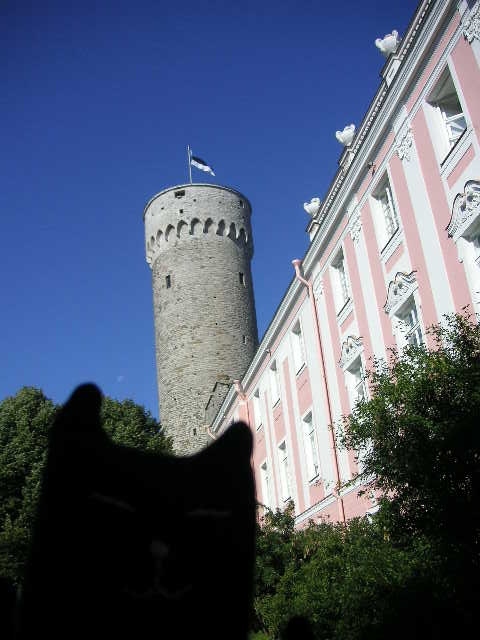 観光は旧市街の山の手エリアからスタート。<br />後ろの高い塔は愛称・のっぽのヘルマン。<br />はためく国旗は濃い青と黒と白、という暗い感じの配色。赤が入っている場合、その赤は「血」を表していたりするわけで、そういう血なまぐさいコトがない国旗なんです。と現地ガイドさんは誇らしげに説明してくれたのでした。なるほど。