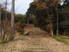 ここをテケテケ行くと岩屋緑地かな?