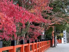 京都紅葉巡り、２か所目は上賀茂神社。二の鳥居付近には、まだ、素晴らしい紅葉が残っています。