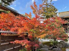 京都紅葉巡り、３か所目は、北野天満宮。こちらの紅葉は相当元気です。