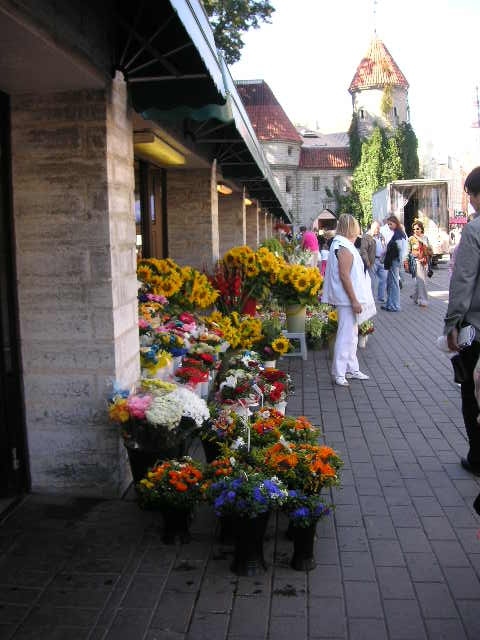 1㎞ぐらいしかないんですけどヴィル門までバスで移動。<br />奥に見えているヴィル門から向こうが旧市街。門の手前は花屋がずらり。