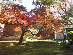 苔生した庭園と紅葉というのがここならではの景観でした。あー楽しかった。
ではそろそろランチへと向かいましょう。