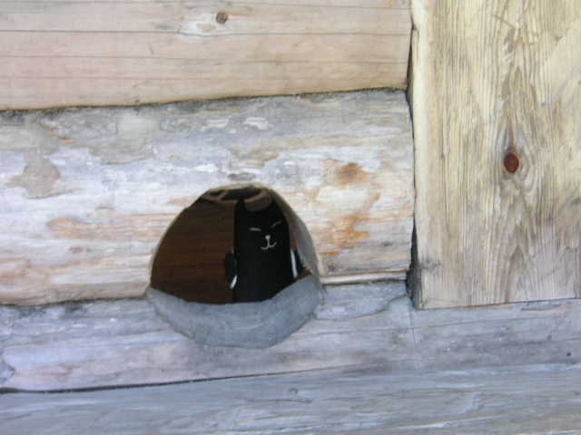 茅葺の屋根が懐かしい感じの野外博物館。建物の一部にはこんな猫専用の出入り口も！<br />「ぼく専用にゃ♪　エストニアっていいとこだね♪」