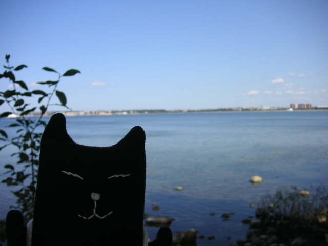 湾に面したところにあるので、対岸に見えるのもタリンの街。右手方向にはビーチもあったらしい。8月とはいえ、も～寒くて泳げませんけど。