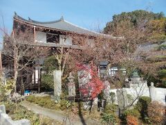 たまたま通りがかったところにあった轉法輪寺。木造の座仏像としては京都で一番大きい阿弥陀如来の「御室大仏」があるお寺です。