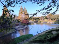 臼井地区で一番紅葉が有名なのはやはりここ、七井戸公園かな。
11月20日撮影。
カエデだけでなく、ケヤキやブナ科の木々、セコイアなども色づく。
臼井駅から徒歩20分くらい。バスが出てる。