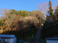 長い階段

横に車の道があるから
スロープの方が楽そうだが
見ただけで
誰も登る気配なし