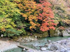 次に、仁淀ブルーを求めてやってきたのは、「安居渓谷」。

ちょうど紅葉も一緒に楽しる頃でラッキー！

そのためか？着くまでの道中は、車が連なって、渋滞気味。
駐車場手前では、係の方の案内があり、
紅葉シーズン中は、道が一方通行になって、
駐車場エリアも、指定されるそう。

斜め下を見ると、キレイな川と紅葉で、
期待が高まるー

