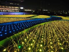 大井競馬場