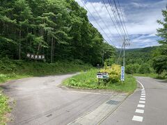 川風呂は体験くらいにしておいて、続いては尻焼温泉から西へ4kmほどの「チャツボミゴケ公園」へ。