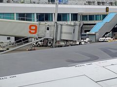 初めての鹿児島空港でもありますし、鹿児島の旅でもあります。