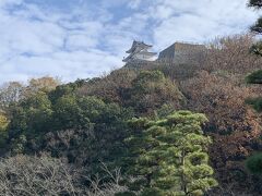 標高66ｍ
亀山に建つ丸亀城
天守は現存天守の中で一番小さいのだけど
標高は一番高いだけあって
見上げると遠い～