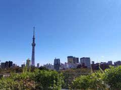 ホテルの中庭からの風景・
スカイツリーと五重塔のコラボ