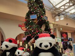 上野駅でクリスマスツリーを見て、帰宅しますよ。