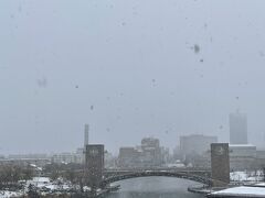 富岩運河環水公園、ガラ越しの風景ですがガラスに雪がついていますね(^^;