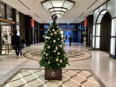 新丸ビルのツリーはこんなかわいい感じでした。
Marunouchi Bright Christmas 2021に参加してるはずですが、あまり意欲が感じられないですね。