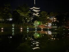 17時代に東京駅を出て西へ下りましたが
奈良に着いた頃には日も暮れておりました。

猿沢池越しに、ライトアップされた興福寺の五重塔が見えます。

奈良の夜は暗いですね。
夜なので鹿もいません。

