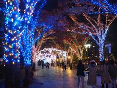 御堂筋イルミネーションは、「大阪・光の饗宴2021」のコアプログラムであるらしい。
