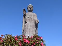 お天気にも恵まれ、朝から目指したのは牛久の大仏さま。

何度か来たことはありましたが記念撮影するだけの場所だったので、この日はいつもより大仏さまの近くへと行ってみることに。

青空と花、そして神々しくそびえる大仏さまにテンション上がります。