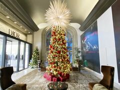 ホテルバンクーバーのツリー

カナダでは、11月末の最後の日曜日に　クリスマス飾りつけをする人が多いです。
子供が小さいころは「うちもツリーを出そう～～。○○ちゃんちはもう飾ったって。うちもやろう～～」と、早くからせがまれたもんです。
