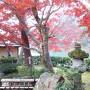 紅葉も終盤の京都2日間【2日目前編】嵐山公園、竹林の小径、天龍寺の庭園