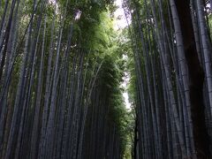 竹林の小径に到着！